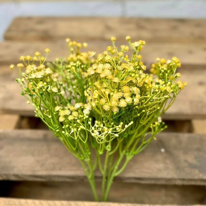 30b5c8c0 50b3 491f 9529 3bf9b1ffa19f