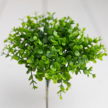 ce58e2cb 327f 4736 84d0 29933825b8f3