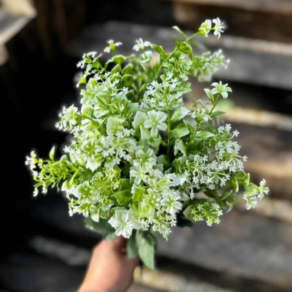 ed759737 5386 48f7 b381 232dd879f773