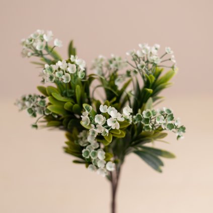 53c138d2 8eed 4100 ba1c db9771ac9fe6