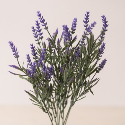 813528a5 9d33 436f 8b34 ea4352dbb0ea