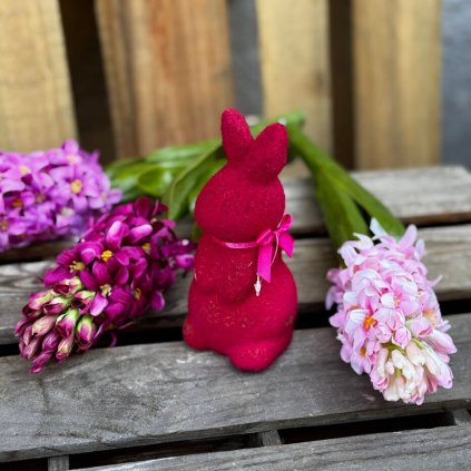 b11caa8f d6f3 414a 8d8c ecb78b0b4e2b