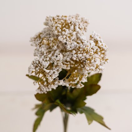 c21c1dee bc4f 4877 a977 f7666286281a