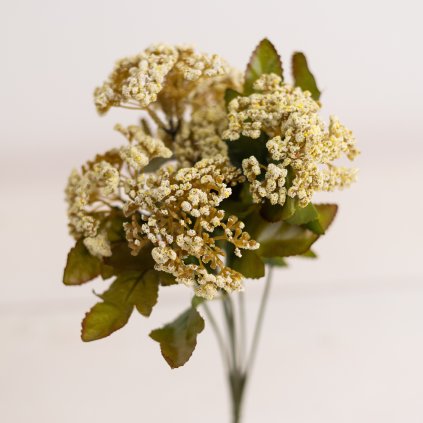 15ad5b3a 7c48 4afc b905 1f182e64d156