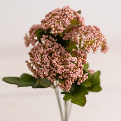 d3fd0c19 89b7 4617 a836 ed28f2e8fa0e