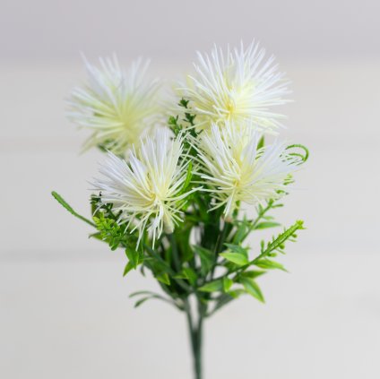 06bf2be8 3d8a 48f8 8a68 166dc5deda46