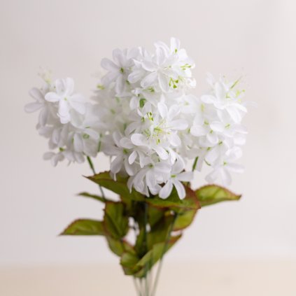 a9b23315 7958 40fa b4f4 7ddaf465f26e