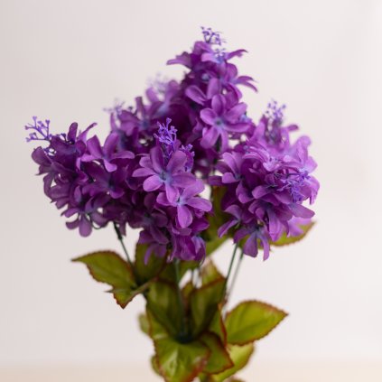 702f58ad a252 4125 9758 88f3c23360ca