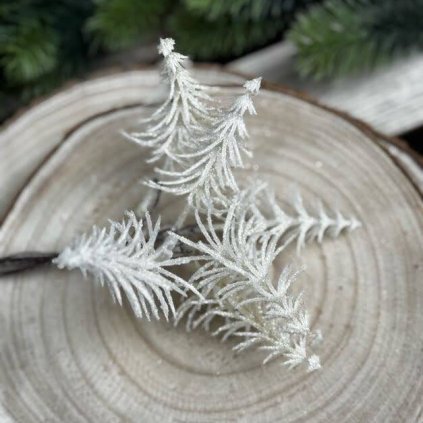 5bdc94fa 81f5 4ed4 8129 a53120d3eced