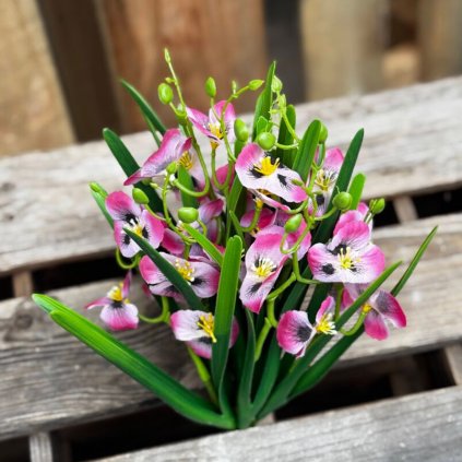 3fdd980e dd50 4742 b28a b5dc9ca6e5e5