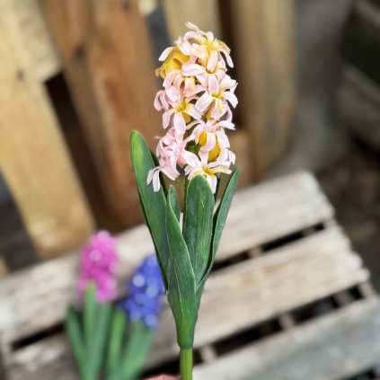 5c074911 541e 42b2 b9a8 c3aa137be627