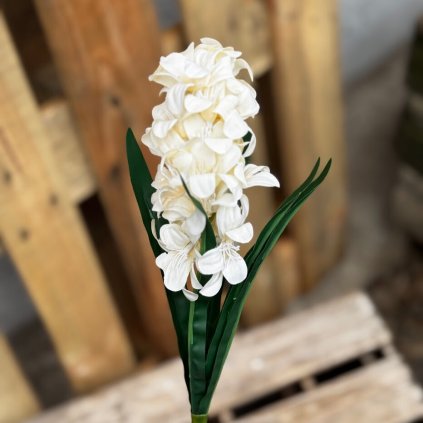 8d2245f7 517a 4244 9666 3ecfd0349f1b