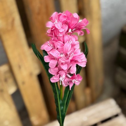 0885fe3a 9b3e 4328 9a6a 96e21eb1e066