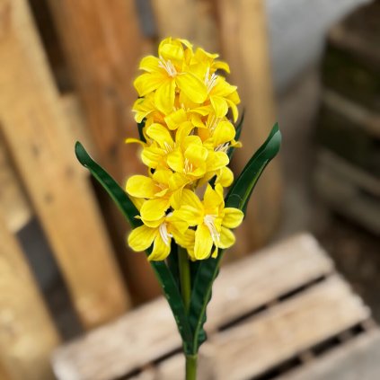 6aa88b3f d92f 4a6b 8348 931db65bd023