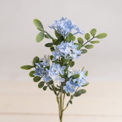 d3dd8e2b 6f8e 4950 aa1a 92cedb04f6f8