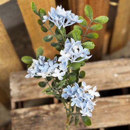 4837d907 b8d5 4ae4 9aca 29eccb648766