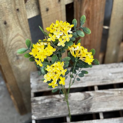 45d8db77 24e8 4854 903c f3d0ae5e2cb6