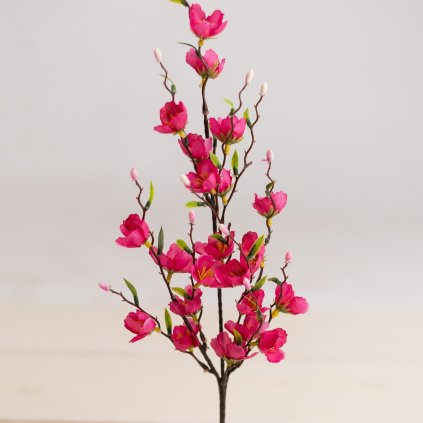 00e49157 b0bd 48cd a29d 4d21a008cc93