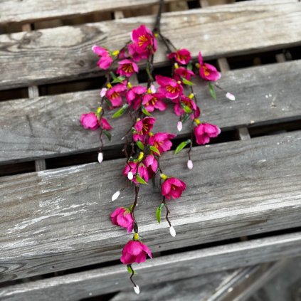 6ed87087 f62c 4f2e 8961 e4bbf64c5b54