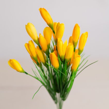 3e1a30c0 f247 4cc7 a0f6 a86742142588