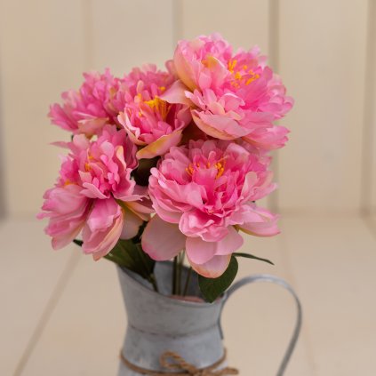 b3c5013c f825 4ce4 a269 28f38ced2f88