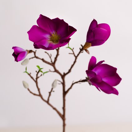 207afc99 3a79 482f 839c 2c42e345e169