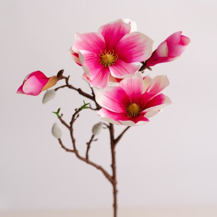 f64a5b27 5c0b 4eaf 8fb7 21480c85114c