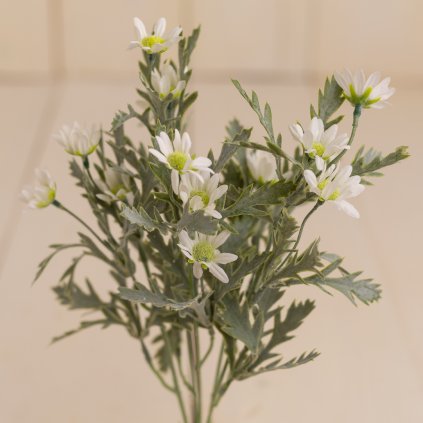 a2a1088a 5e51 4757 bd05 0a22aa39ae1f