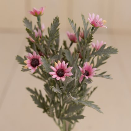 6cb0494b dec6 4e17 8a3c ba43789ce91f