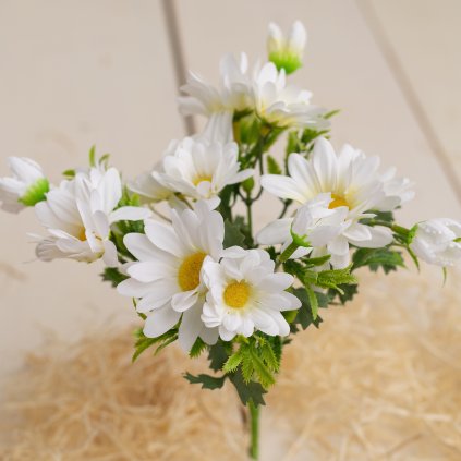 3a1e6629 098d 48f6 b619 3e9b2b710861