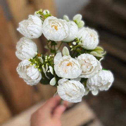 4daf8bc4 2f92 4401 bbbc 8f4a6da6e8de