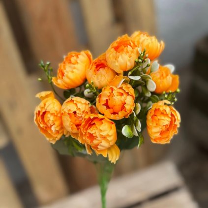 204b56a3 ecde 4d36 96a3 4b2030df4c28