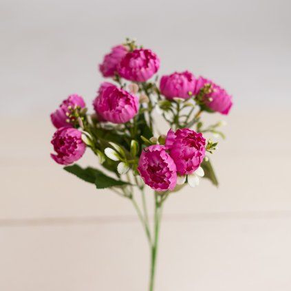 27f465c7 bb9b 4cbd b7b8 3c93a14226bf