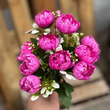 0d2ab453 d24c 42bc b69e db77961ea4a6