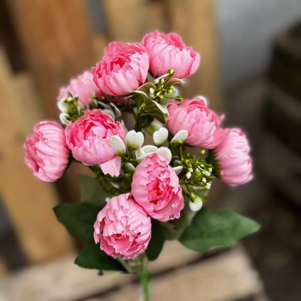 e3eaee60 a43a 4a0f 9b63 27bd8c58be7f