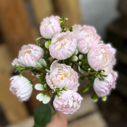 82256a2d edb9 4ca5 9fdc 1dcd27a4cd25