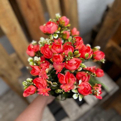 ec61556d 8600 42d7 bfe6 a00746de796e