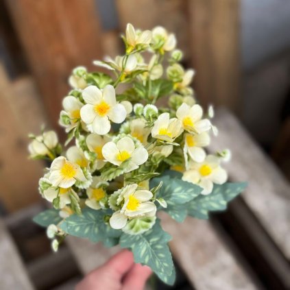 daa09eed 2e22 417c 8e68 1e0cc48f2f75