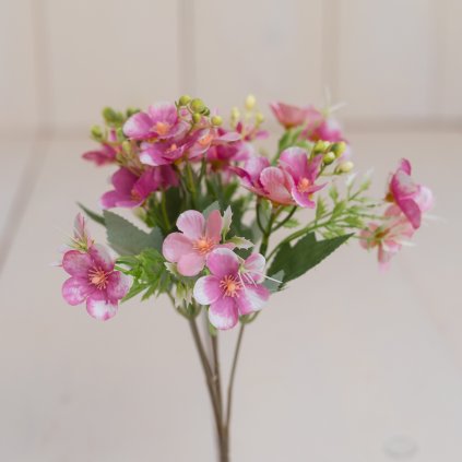 b1b804f6 b663 4f95 b464 e89695c34dd9