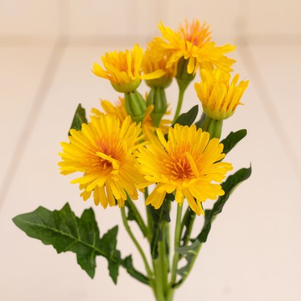 ef38ece5 0425 47f5 8f8c fd397051fa58