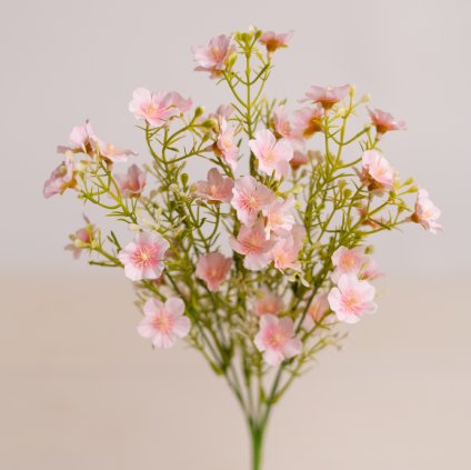 4dac5d2f 7be5 41cf 8483 d746f8232882