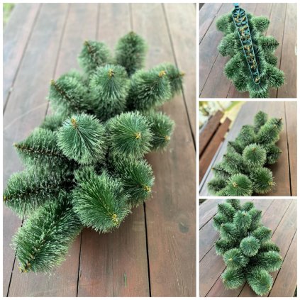 485139802 1074821597993180 9030974415603243886 n