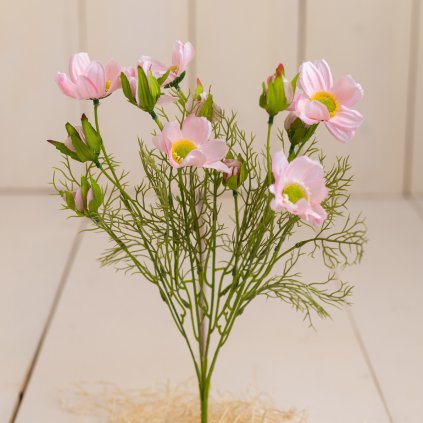 41273217 609f 4ae1 bec7 9229d59be52b