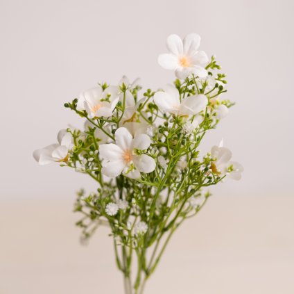 354115f7 6fa2 480a bbed d222bc49ff53