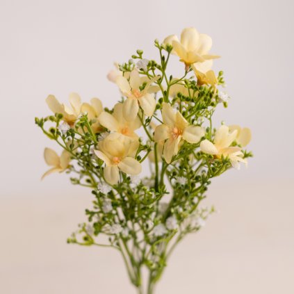 f2a7f917 9ed9 4516 807d e2dd5e7be0b3