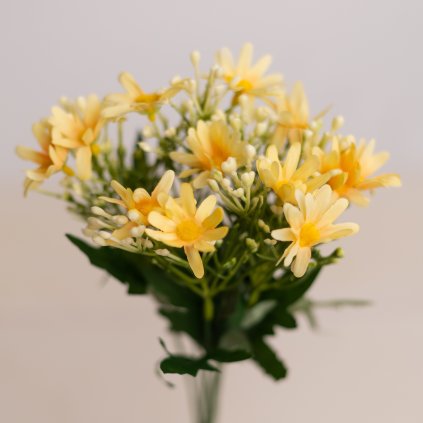 a8632c1b cf1b 4f68 91cd 85f4b113767e