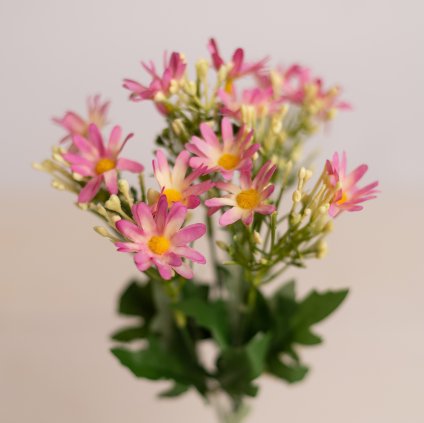 543baaa2 cf95 4cf6 b976 4c84b467f0c7