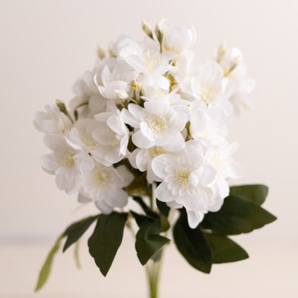 f35590d4 4a5b 4ebd 8c89 9b97ff7ae263