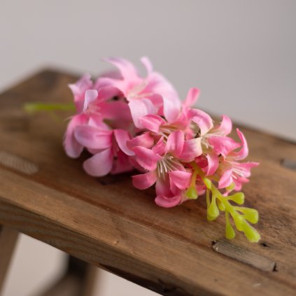 d2b8c284 c091 48a1 8d5b 2edea73fa246