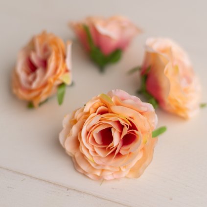 49e8f9d9 1ddc 4a1e bcdb 668664e8da19